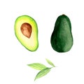 Watercolor pattern with avocado, a slice of avocado, avocado leaves Royalty Free Stock Photo