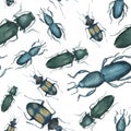 Watercolor pattern with beetles Elateridae, Curculionidae and Harpalinae