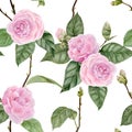Watercolor pattern with branches of camellia Royalty Free Stock Photo