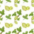 Watercolor pattern, bright gooseberries, green leaves on white background. Pattern for fabric, various products etc.
