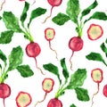 Watercolor pattern of bright juicy radish with greens