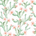 Watercolor pattern with cactus .