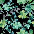 Watercolor pattern of eucalyptus, nettle, mint, succulents