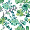 Watercolor pattern of eucalyptus, nettle, mint, succulents