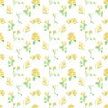 Watercolor pattern of flowers and leaves seamless design on white background