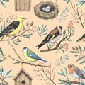 Watercolor pattern with garden spring birds on blooming branches, nest and birdhouse. Hand-drawn print in retro style for design