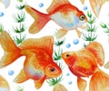 Watercolor pattern with goldfishes Royalty Free Stock Photo