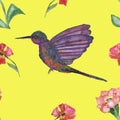 Watercolor pattern with Hummingbird bird and hibiscus flowers on a yellow background, hand-painted watercolor. Royalty Free Stock Photo