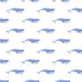 Watercolor pattern illustration, blue whale, cute, gentle,