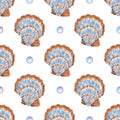 Watercolor pattern illustration of large beige blue seashells with scallop and bubbles. Royalty Free Stock Photo