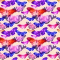 Watercolor pattern with the image of transparent butterflies in blue, red and violet colors on a beige background Royalty Free Stock Photo