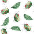 Watercolor pattern of insects, ladybugs, bedbugs, beetles with leaves on a white background. Royalty Free Stock Photo