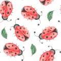 Watercolor pattern of insects, ladybugs, bedbugs, beetles with leaves on a white background. Royalty Free Stock Photo