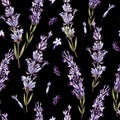 Watercolor pattern with Lavender. Hand painting. Watercolor. Seamless pattern for fabric, paper and other printing and web