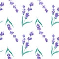 Watercolor pattern with Lavender. Hand painting. Seamless pattern for fabric, paper and other printing and web projects.