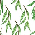 Watercolor pattern with leaves