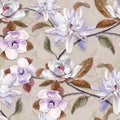 watercolor pattern magnolia flowers, white magnolia Royalty Free Stock Photo