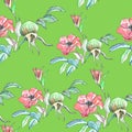 Watercolor pattern with painted flowers and rosehips and leaves on a green background