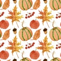 Watercolor pattern, pumpkins, berries, acorn, apple and leaves on a white background. For thanksgiving, wrapping etc. Royalty Free Stock Photo