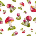 Watercolor pattern of red fly agarics Royalty Free Stock Photo