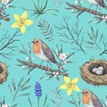 Watercolor pattern with robin birds on blooming branches and nest . Hand-drawn print in retro style for design and textile Royalty Free Stock Photo