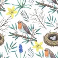 Watercolor pattern with robin birds on blooming branches and nest . Hand-drawn print in retro style for design and textile Royalty Free Stock Photo