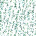 Watercolor pattern seamless eucalyptus branches