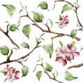 Watercolor pattern with tree branches and apple blossom. Hand painted spring ornament with floral elements with leaves