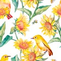 Watercolor pattern.White-eye bird and sunflower. Royalty Free Stock Photo