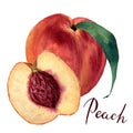 Watercolor peach with leaf and half cut peach, lettering Royalty Free Stock Photo