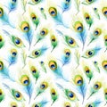 Watercolor Peacock Feather Seamless Pattern, Aquarelle Plumage, Watercolor Exotic Feather Tile