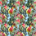 Watercolor pear with apple. Floral seamless pattern. Blue background.