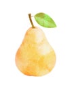 Watercolor Pear fruit with leaf on white