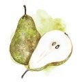 Watercolor pear illustration