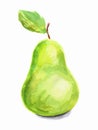 watercolor pear.