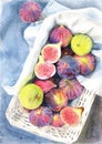 Watercolor pencil illustration of a basket lined with white cloth with purple and light green figs