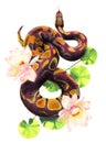 Watercolor pencil illustration of a red snake