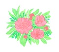 Watercolor Pencils drawing composition with red peony flowers with leaves Royalty Free Stock Photo