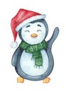 Watercolor penguin in green scarf and hat Royalty Free Stock Photo
