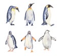 Watercolor penguins set.