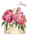 Watercolor peonies bouquet with retro envelope. Vintage mail icon with floral illustration on white background. Hand pain Royalty Free Stock Photo