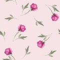 Watercolor peonies pattern