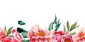 Watercolor peony Flower seamless buttom border in pastel pink and peach colors with green leaves and eucalyptus. Hand