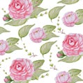 Watercolor Peony Flowers pattern, Pink Peonies texture, Romantic Scrapbook paper on white background