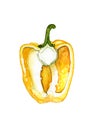 Watercolor pepper