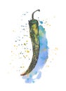 Watercolor peppers on a white background. Wedding invites watercolor greeting card illustration. Use for magazines, childre