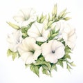 Watercolor Petunia Painting White Charm Flowers On White Background