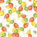 Watercolor physalis seamless pattern. autumn berry illustration. botanical background. Seamless pattern with hand drawn watercolor