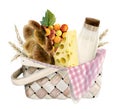 Watercolor picnic basket for dairy farm barbeque, Shavuot. Milk, wheat, challah bread, cheese, grapes, checkered blanket Royalty Free Stock Photo