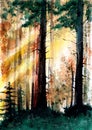 Watercolor sunlit forest with rays of light